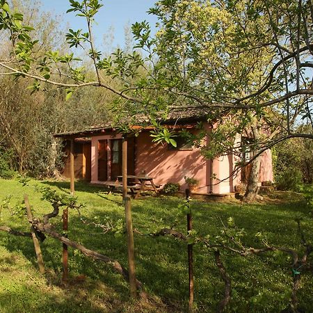 Casale Vigna Carbona Guest House Gavorrano Exterior photo