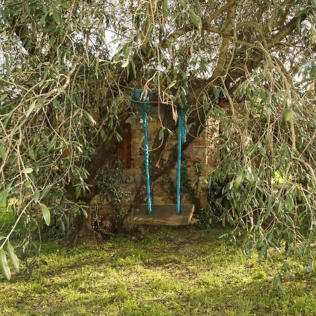 Casale Vigna Carbona Guest House Gavorrano Exterior photo